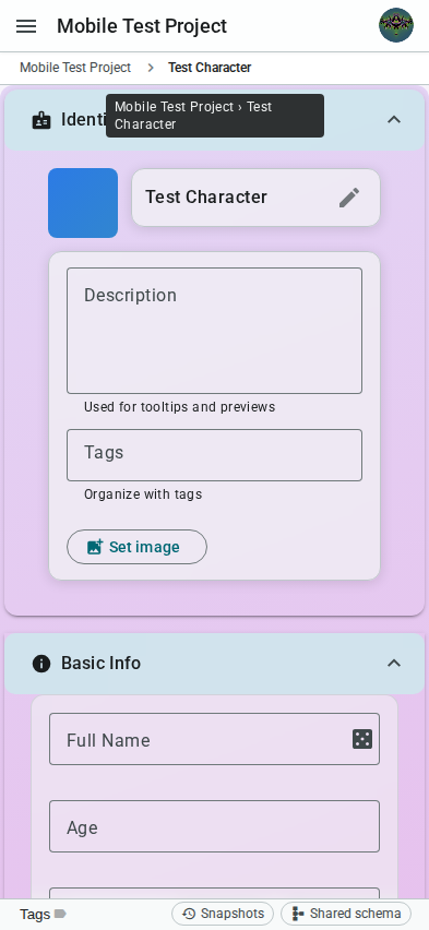 Mobile tab fields — iPhone 14 Pro